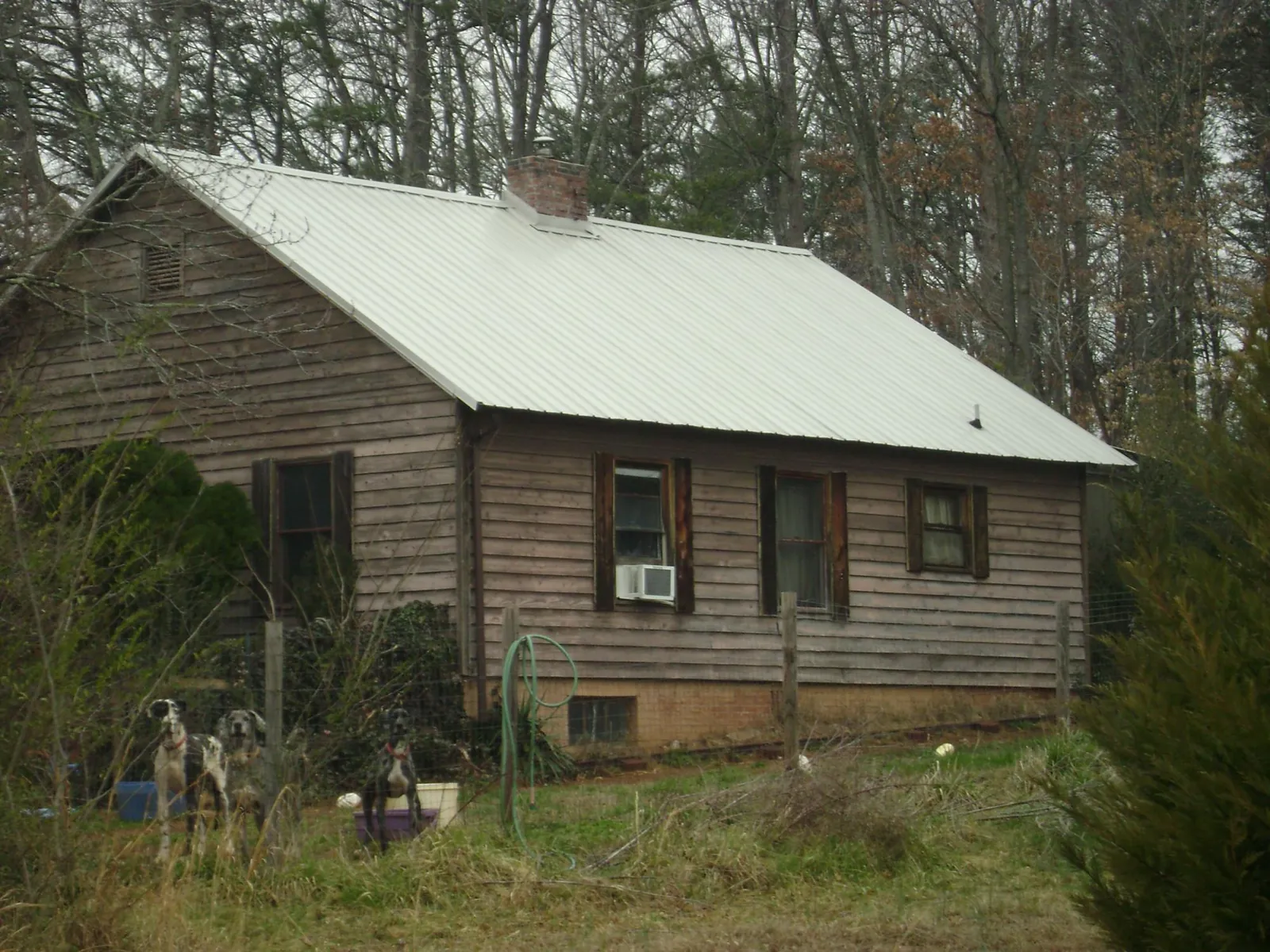 White metal roof on an old wood sided farmhouse, from a Asphalt Shingle Roof Repair job in Stevinson